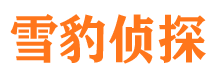 仁和侦探公司